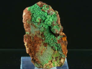 Konichalcyt (ang. Conichalcyt)