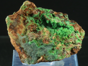Konichalcyt (ang. Conichalcyt)