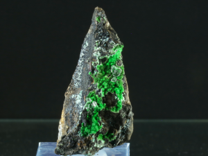 Konichalcyt (ang. Conichalcyt)