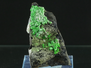 Konichalcyt (ang. Conichalcyt)
