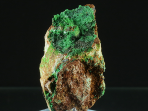 Konichalcyt (ang. Conichalcyt)
