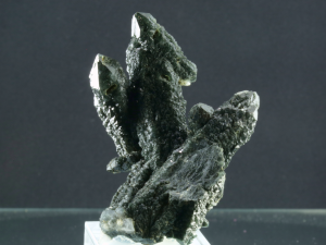 Kwarc z aktynolitem (ang. Quartz)