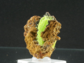 Fosfohedyfan z Rep.Congo