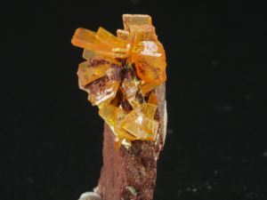 Wulfenit (ang. Wulfenite)