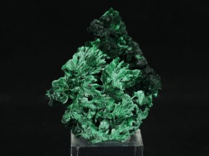 Malachit krytaliczny (ang. Malachite)