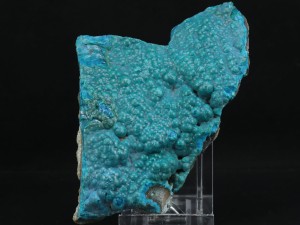 Chryzokola groniasta (ang. Chrysocolla)