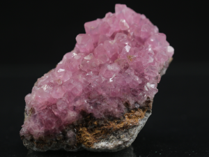 Kobaltokalcyt (ang. Cobaltocalcyte)