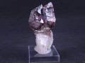 20230728_093939.jpg