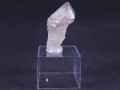 20230728_094356.jpg