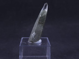 Kwarc z chlorytem ( ang. Quartz and chlorite)