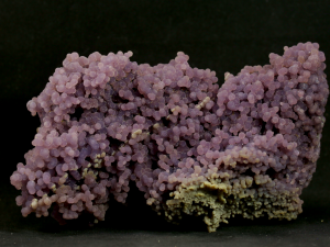 Ametyst gronowy ( ang. Grape Amethyst)