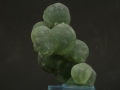 7c.png