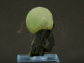 10.png