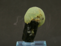 10a.png