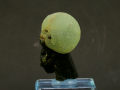10b.png