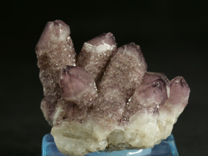 Ametyst kaktusowy( ang. Cactus Amethyst)