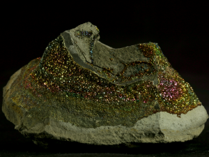Piryt tęczowy (ang. Rainbow pyrite)