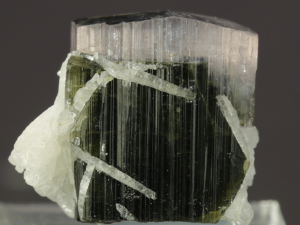 Turmalin (ang. Tourmaline)