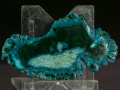 7a.png