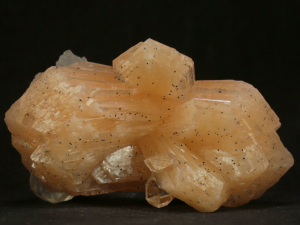 Stylbit (ang. Stylbite)