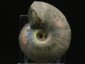 5a.png