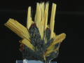 1b.png