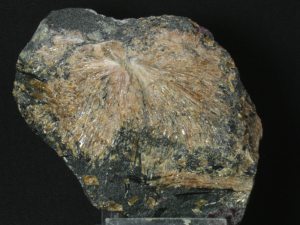 Tytanit (sfen)- (ang. Titanite)