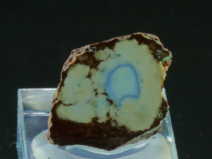 Turkus (ang. Turquoise)
