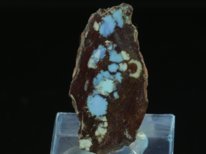 Turkus (ang. Turquoise)
