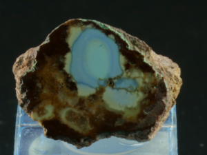 Turkus (ang. Turquoise)