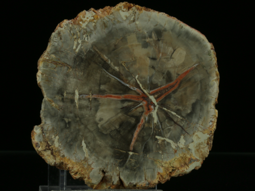 17.png