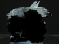 1c.png