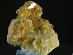 Muskowit (ang. Muscivite)