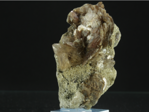 Muskowit (ang. Muscivite)
