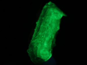 Opal- hialit UV!, kwarc (ang. opal, quartz)