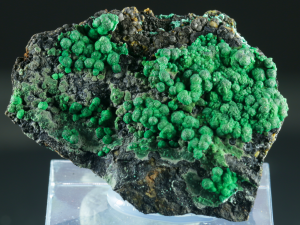 Konichalcyt (ang. Conichalcit)