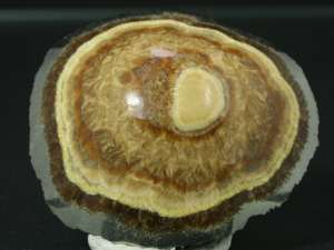 Baryt, markasyt (ang. Barite, markasite)