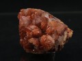 YT3A0336.JPG