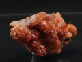 YT3A0337.JPG