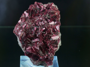 Erytryn (ang. Erythrite)
