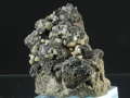 10b.png