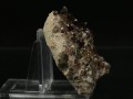 YT3A0389.JPG